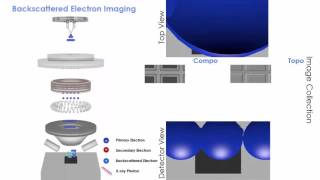 Scanning Electron Microscopy SEM animation of 3 types of imaging [upl. by Yeroc]