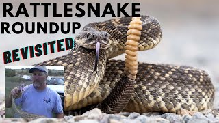 Rattlesnake Roundup Revisited [upl. by Sale]