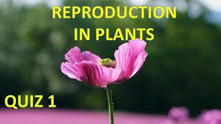 Reproduction in plants Quiz 1 [upl. by Alithea]