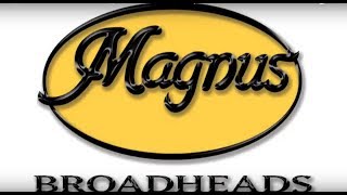 Magnus Broadheads Best Bang For Your Buck [upl. by Marcell52]