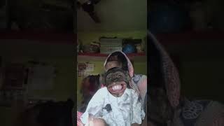 Funny monkey face bhojpuri funny song trending viralshortvideo indionidol [upl. by Arihsa87]