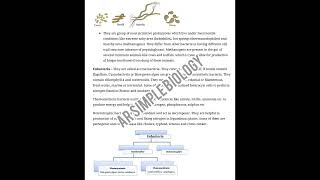 last minute quick notes for the biological classification [upl. by Shirlee]