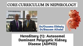 Hereditary 1 Autosomal Dominant Polycystic Kidney Disease ADPKD DrOssama Elkholy [upl. by Fornof]