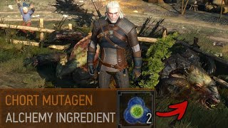 witcher 3 where to find chort mutagen [upl. by Rafa]