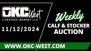 11122024  Calf amp Stocker Auction  OKC West [upl. by Fitzhugh]