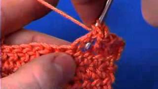 Back Cross Stitch Crochet Stitch Tutorial [upl. by Inaniel]