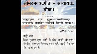 Shrimad Bhagavad Gita Chapter 11 Shloka 1 in Hindi  श्रीमद भगवद गीता अध्याय 11 श्लोक 1 हिंदी में [upl. by Olive]