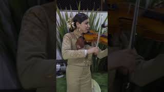 Violin Huapango Short  Mariachi Femenil Innovación Mexicana [upl. by Anilok]