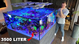 GERMAN REEF TANKS  massive saltwater aquarium 920 gallon private tour [upl. by Yvonner]