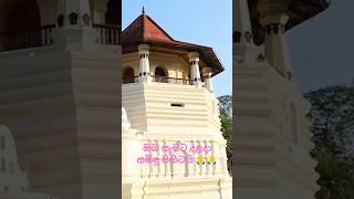 Kandy Dalada Maligaa where Lord Gautama Buddhas Sri Danta resides 🙏🙏 [upl. by Yvel657]