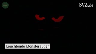 Selbst gemacht  Halloween Spezial Leuchtende Monsteraugen [upl. by Dnalrah928]