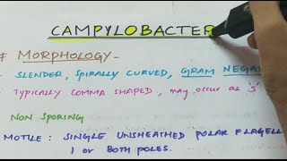 Campylobacter  Microbiology  Handwritten notes [upl. by Dlareg]