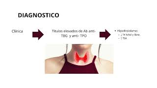 TIROIDITIS DE HASHIMOTO [upl. by Loreen934]