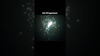 Zink 725 Vogelschreck 💥 Single Shot 🎆 [upl. by Il]