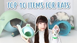 THE TOP 10 ITEMS FOR RATS [upl. by Adnuhser]