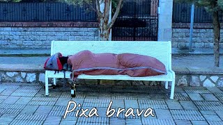 Pixa brava Casals  Algara [upl. by Imena]