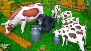 Gorillas Dairy Dilemma Cow Calfs Hilarious Milk Stealing Antics Funny Cows Comedy Cartoons [upl. by Terrijo]