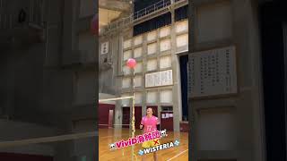 VIVID×WISTERIA WISTERIAWORLDVOLLEYBALL [upl. by Martreb]