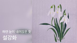 하얀 눈이 내려앉은 듯한 눈꽃풀 설강화스노우드롭snowdrop갈란투스 [upl. by Adriena]