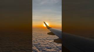 Every journey has its arrival landscape sunrise flight tokyo cozy chill lofi [upl. by Kciderf]