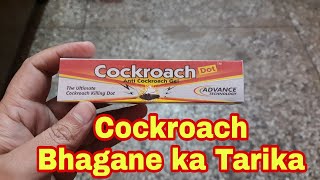 Cockroach Bhagane ka tarika  Get rid of Cockroach  Cockroach Bhagane ki dawa  Cockroach [upl. by Corel]