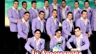 La Arrolladora Banda El Limon Soñare Contigo [upl. by Gerard]