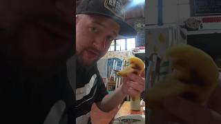 Colombian Breakfast at Netflix Famous Market vlog food travel colombia shorts [upl. by Waterman]