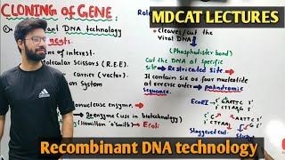 Recombinant DNA technology  NMDCAT 2021 [upl. by Mackey]