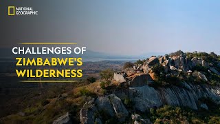 Challenges of Zimbabwes Wilderness  Something Bit Me  National Geographic [upl. by Brag]