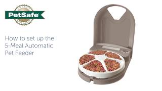 How To Setup Your PetSafe® 5Meal Automatic Pet Feeder [upl. by Aicel]