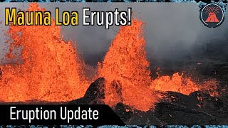 Mauna Loa Volcano Eruption Update New Eruption Occurs Summit Covered in Lava [upl. by Enimzaj286]