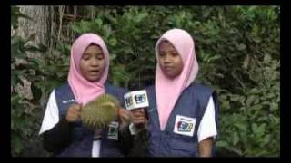 LAGU DURIAN Durian Song [upl. by Niledam672]