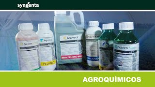 SYNGENTA DE VENTA EN AGROBOLDER [upl. by Eserahc]