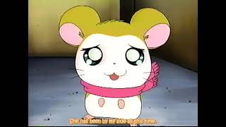 Hamtaro Episode 140 English Subbed quotThrilled OokOokquot ハム太郎 第140話 英語字幕付き 「ドキのオックウッ」 [upl. by Shina]