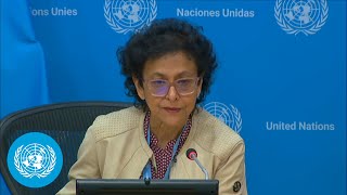 Global Crisis of Freedom of Expression  Special Rapporteur  Press Conference  United Nations [upl. by Steffin]