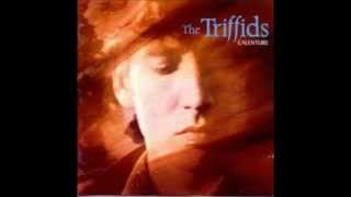 the Triffids  hometown farewell kiss [upl. by Esaj]