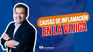 Cistitis  inflamación de Vejiga ¡Conoce sus Causas [upl. by Sucerdor196]