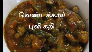 Vendakkai Pulicurry  Okra Curry Ladys Finger Curry Recipe வெண்டக்காய் புளி கறி [upl. by Ylsew686]