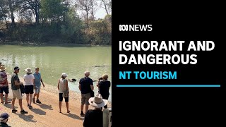 Tourists risking lives to see crocodiles at Cahills Crossing in Kakadu National Park  ABC News [upl. by Goddord]