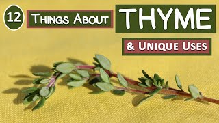 12 Things About Thyme and Its Unique Uses [upl. by Darryn583]