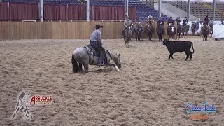 2022 Arbuckle Mountain Futurity 4YO Open Champion Wes Galyean Riding Third Edge [upl. by Ansley]