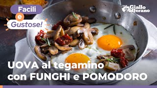 UOVA al TEGAMINO con FUNGHI e POMODORI semplici veloci e squisite 🍳🍅🍄 [upl. by Annasus]