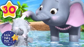 5 Elephants Having A Wash  30 Minutes of Nursery Rhymes  Learn With LBB  howto [upl. by Cheslie]