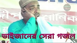 Falak par chand jaisa hai পীরজাদা আব্বাস সিদ্দিকী হিন্দি গজল Abbas bhaijaner hindi gojol [upl. by Dadirac986]