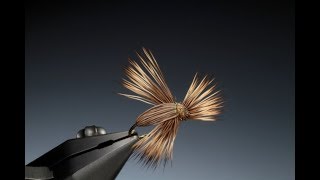 Fly Tying the Screaming Banshee caddissedge with Barry Ord Clarke [upl. by Ernesta]