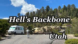 Hidden Gem in Utah Hells backbone [upl. by Harte871]