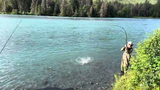 Our Hero Lincoln Pulls in a Red Salmon on the Kenai After Alerting Us to The Cinnamon Brown Bear [upl. by Enneles932]