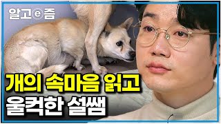 “공황 상태가 바로 이런 것” 문도 떼진 폐가에 홀로 남겨졌던 개 역대급 불안견에 솔루션 중도 포기한 설쌤｜세상에 나쁜 개는 없다｜알고e즘 [upl. by Matta378]