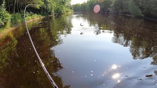 Whopper Plopper Smallmouth Bass Fishing the Peshtigo River [upl. by Calli950]