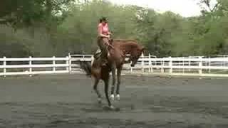 Bucking Horse with Female Rider [upl. by Balcke]